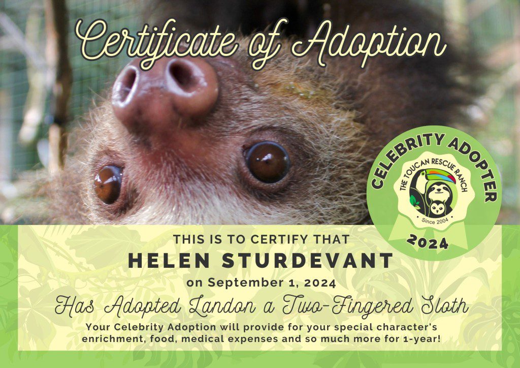 2024 Celebrity Adopter