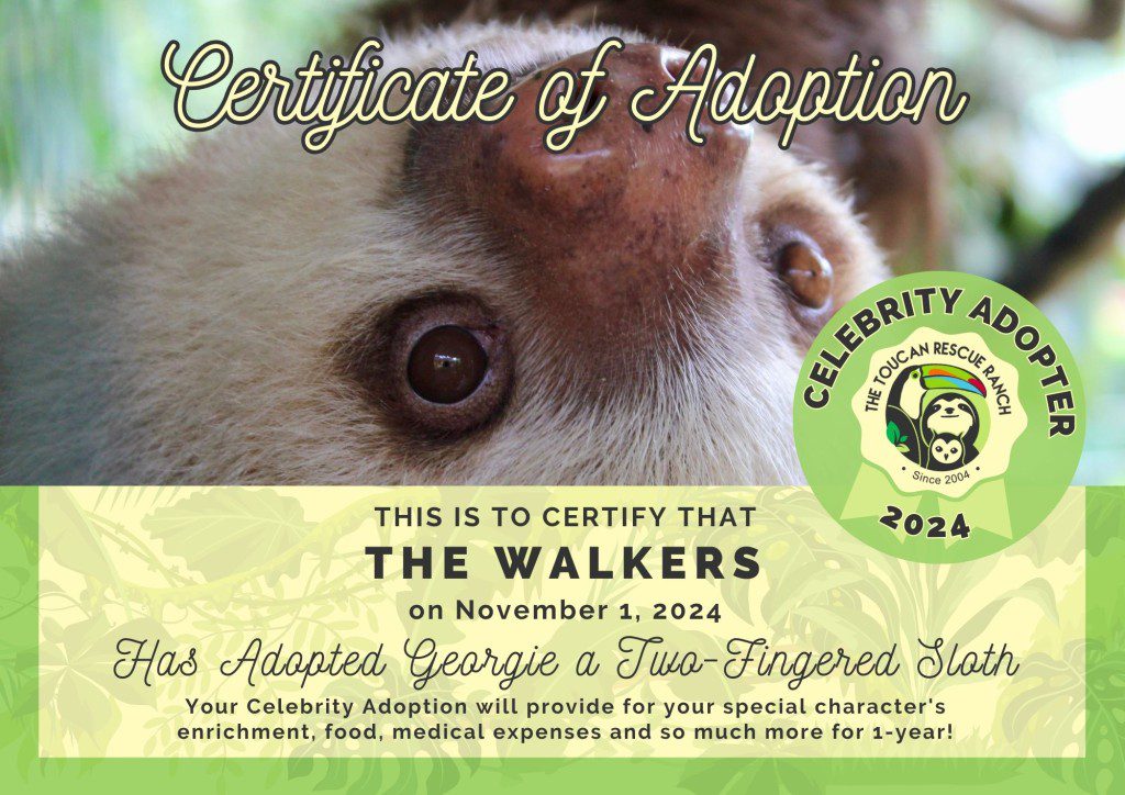 2024 Celebrity Adopter