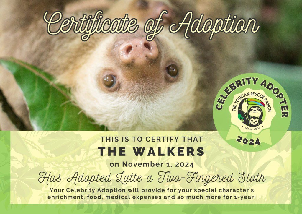 2024 Celebrity Adopter