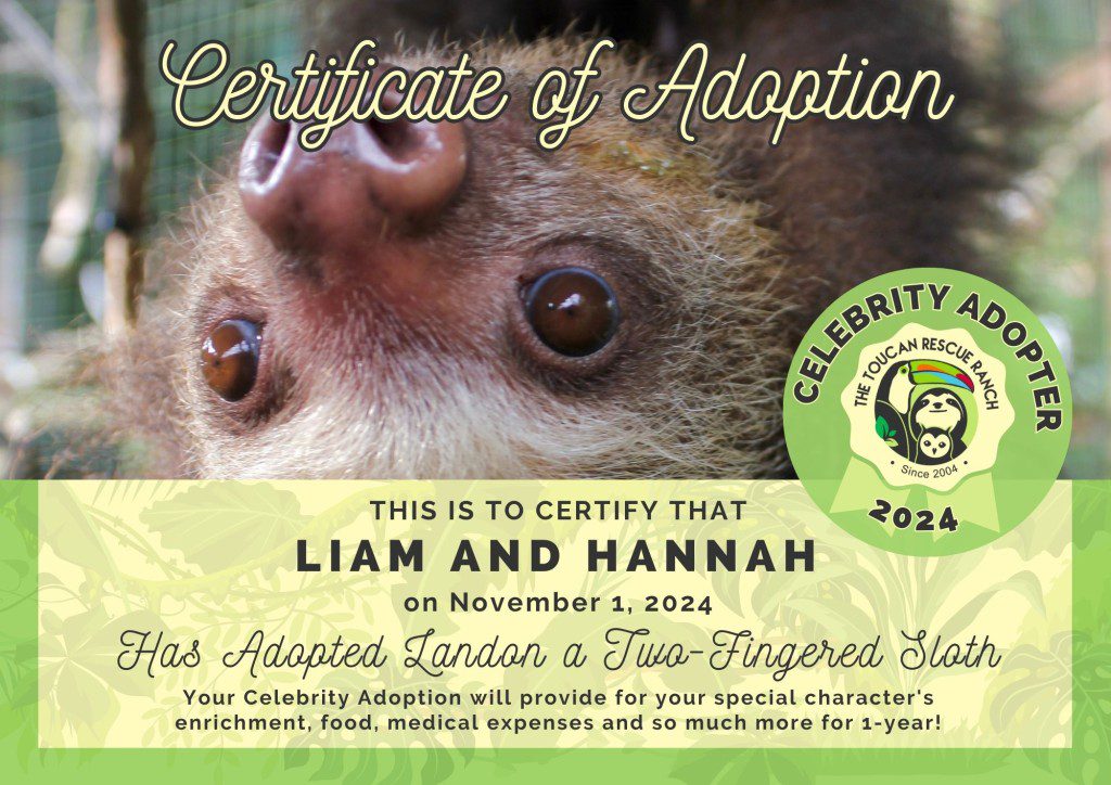 2024 Celebrity Adopter