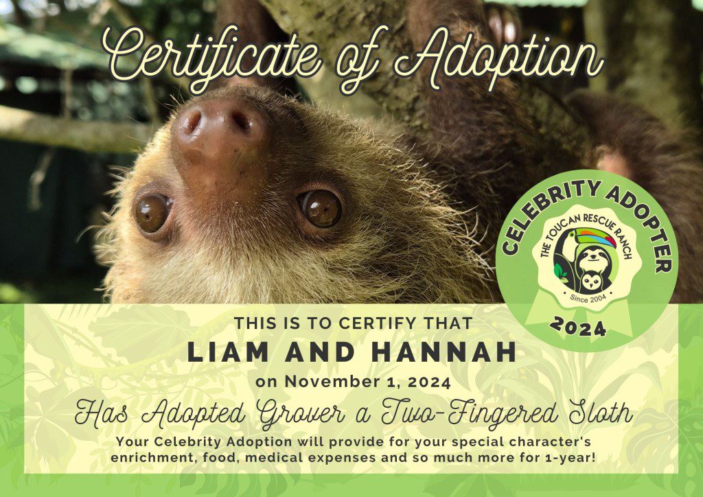 2024 Celebrity Adopter