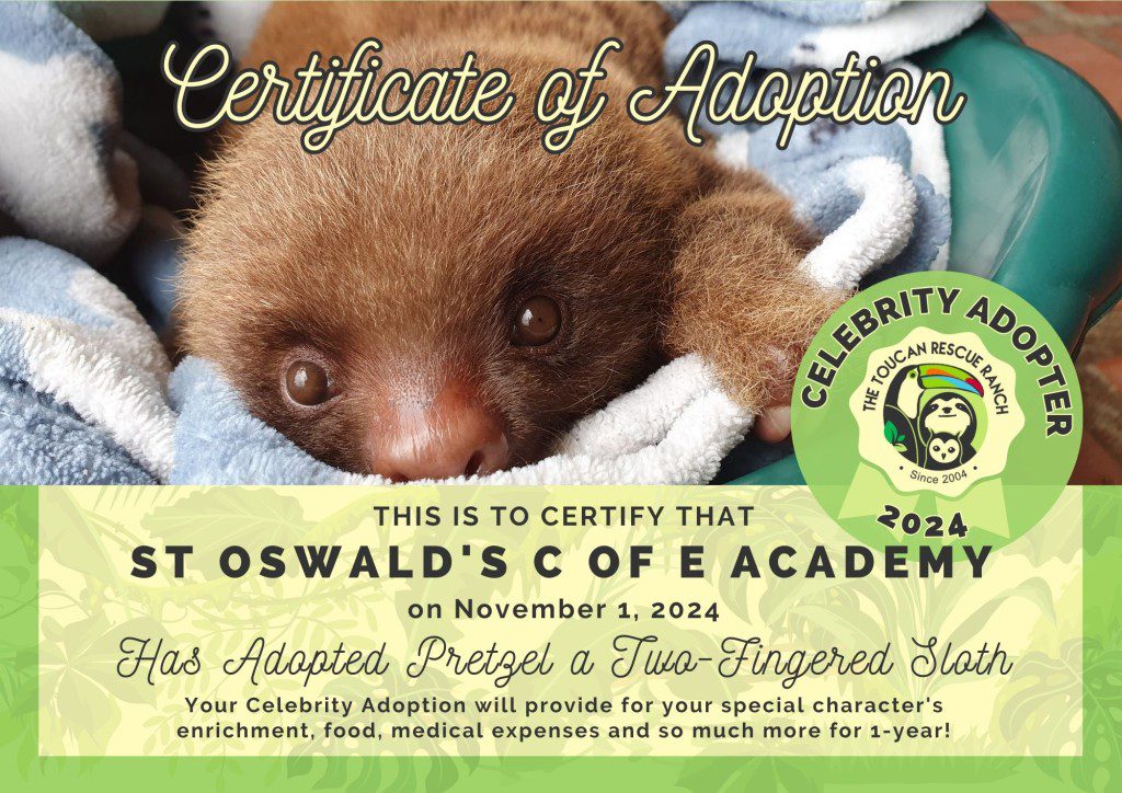 2024 Celebrity Adopter