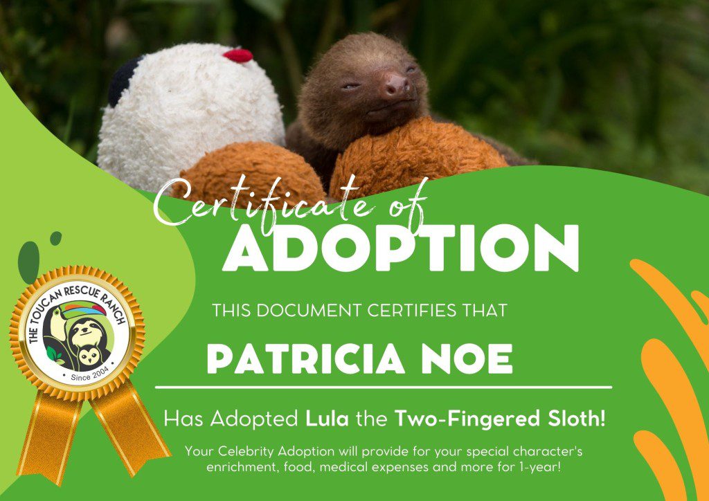 2025 Celebrity Adopter