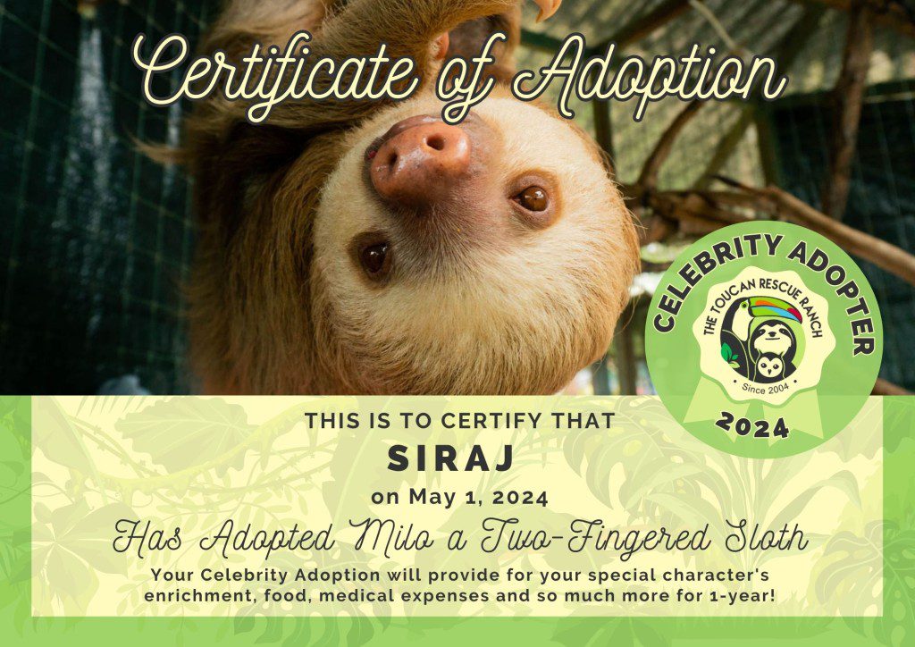2024 Celebrity Adopter