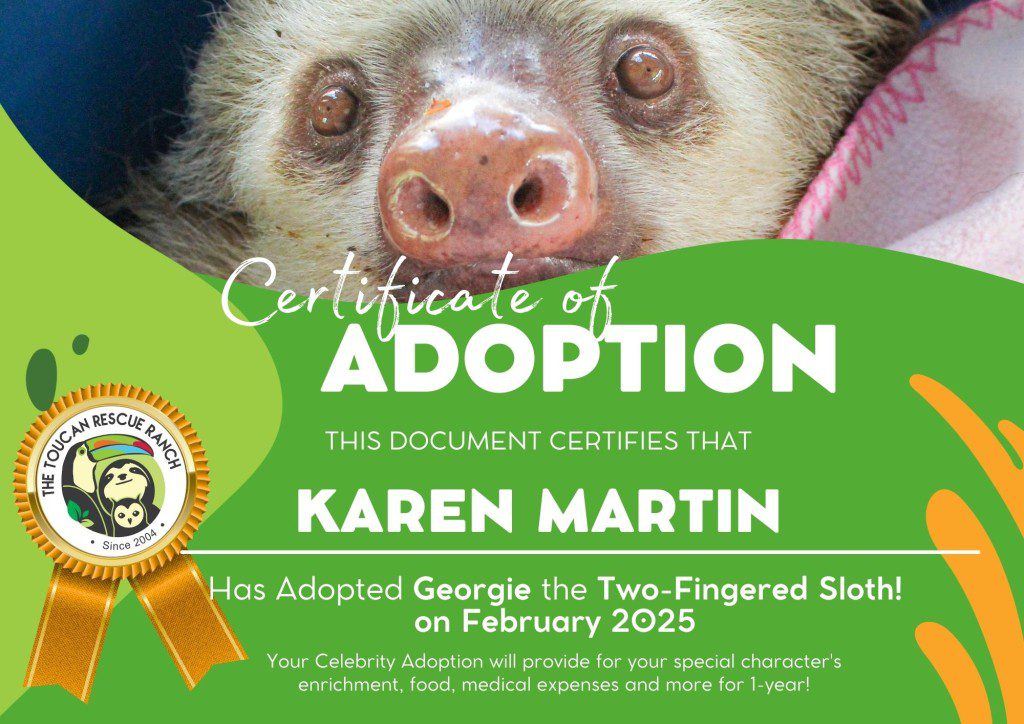 2025 Celebrity Adopter