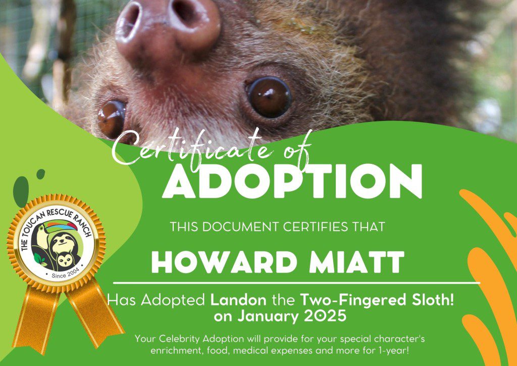 2025 Celebrity Adopter