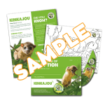 Symbolic Classic Adoption: Three-Fingered Sloth - Image 2