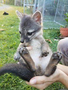 McCloud when he first arrived at TRR as an orphan.