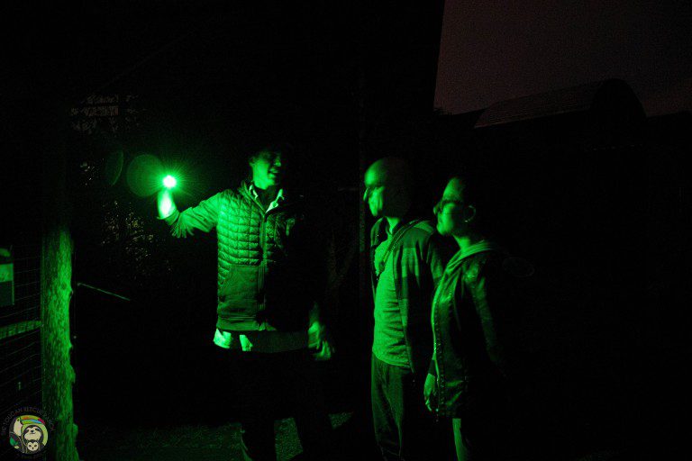 Noctural Tour Toucan Rescue Ranch (3)