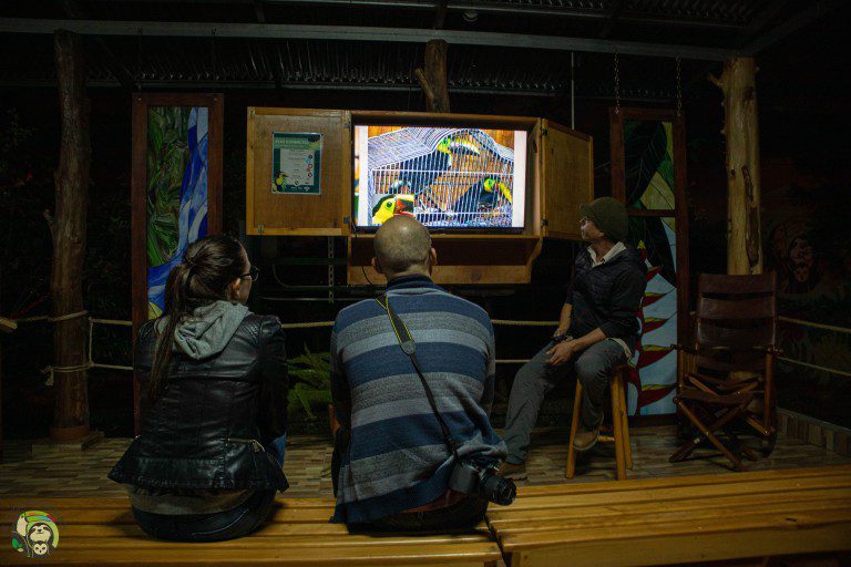 Noctural Tour Toucan Rescue Ranch (4)