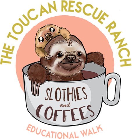 Slothies and Coffees Tour Toucan Rescue Ranch