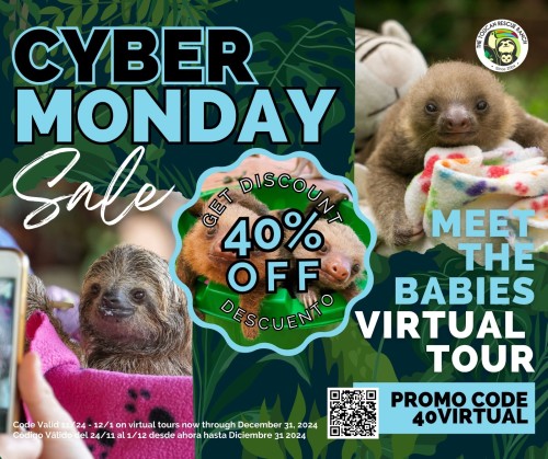 2023-11-27-get-40-off-meet-the-babies-cyber-monday 2023-11-27-get-40-off-meet-the-babies-cyber-monday